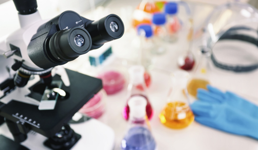 Biotechnologie & Bio informatique