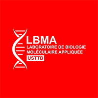 LBMA